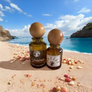 SHELLS<br>(INSPIRED BY LOUIS VUITTON ON THE BEACH)