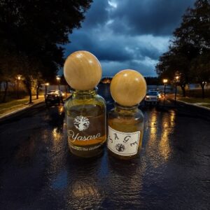 SAGE<br>(INSPIRED BY YSL Y )