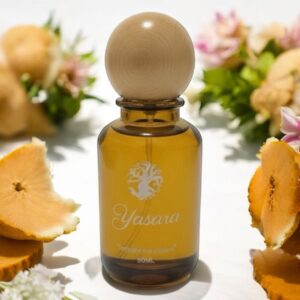 SOUL<br>(INSPIRED BY NISHANE ANI X)